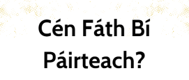 Cén Fáth Bi Páirteach?